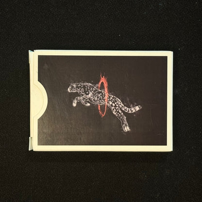 Playing Cards